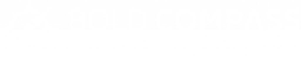 Bold Compass Logo